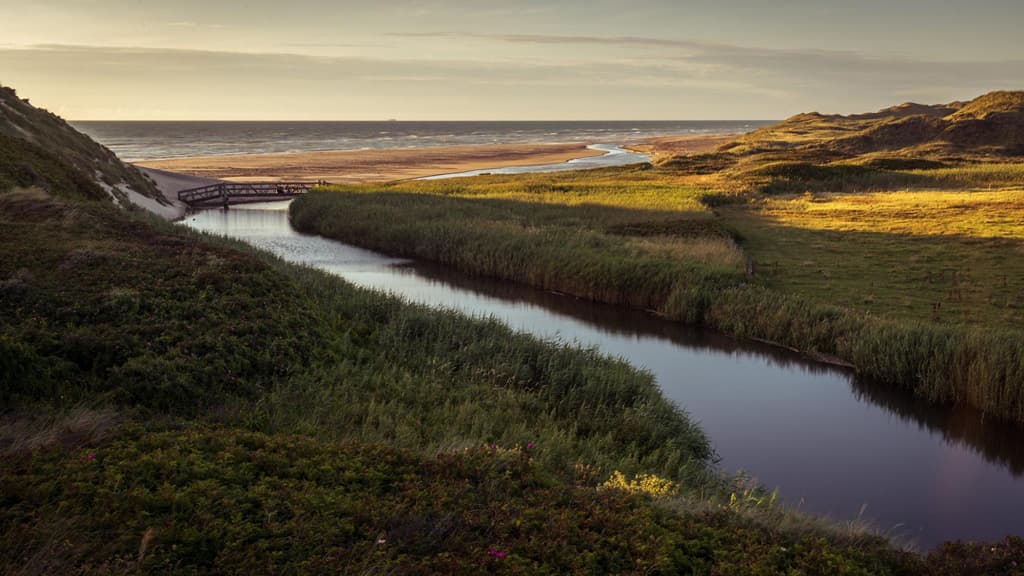Kærsgård Strand (beach)