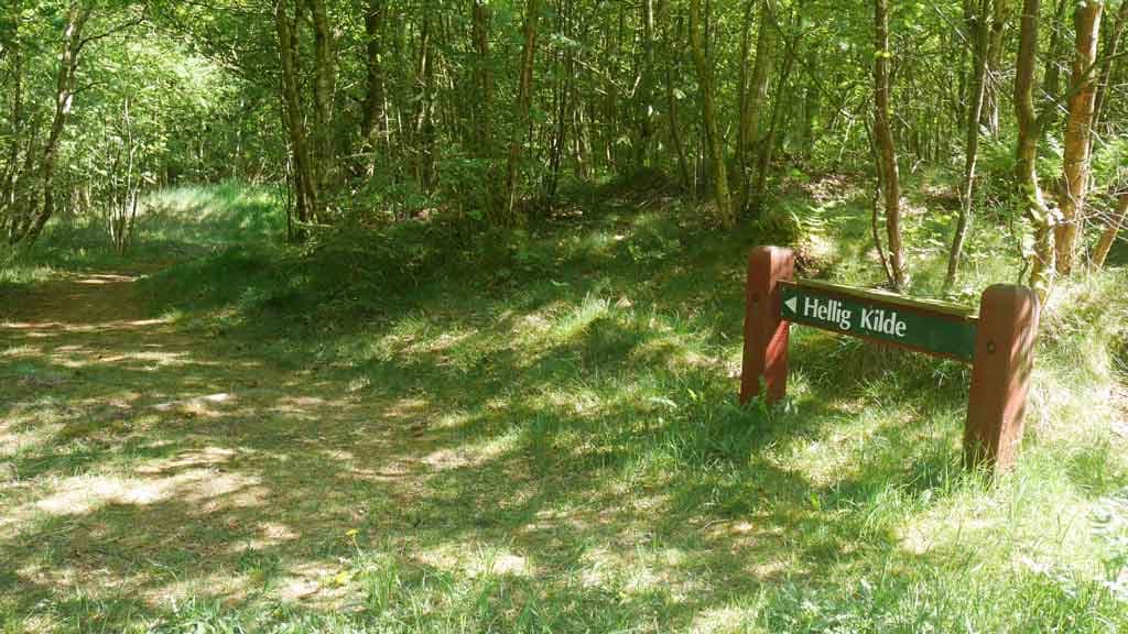 Asdal Helligkilde (holy well)