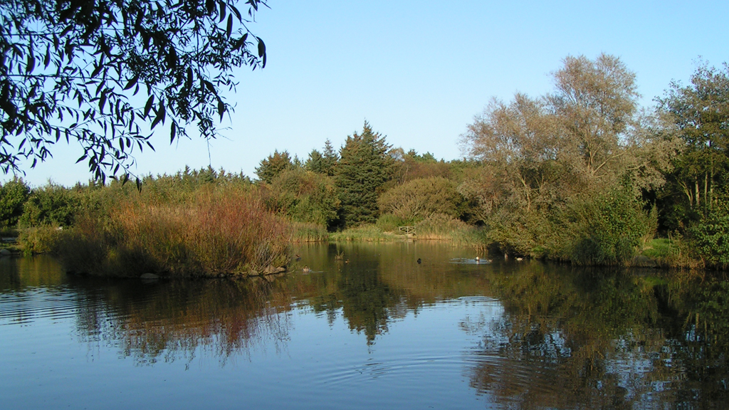 Folkeparken (park)