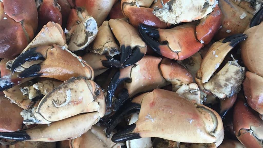 North Shore Surf Food