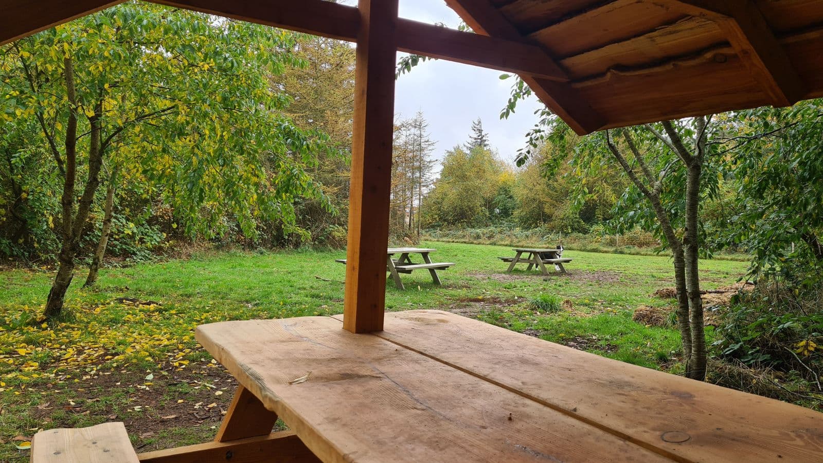 Løkken Dog Park