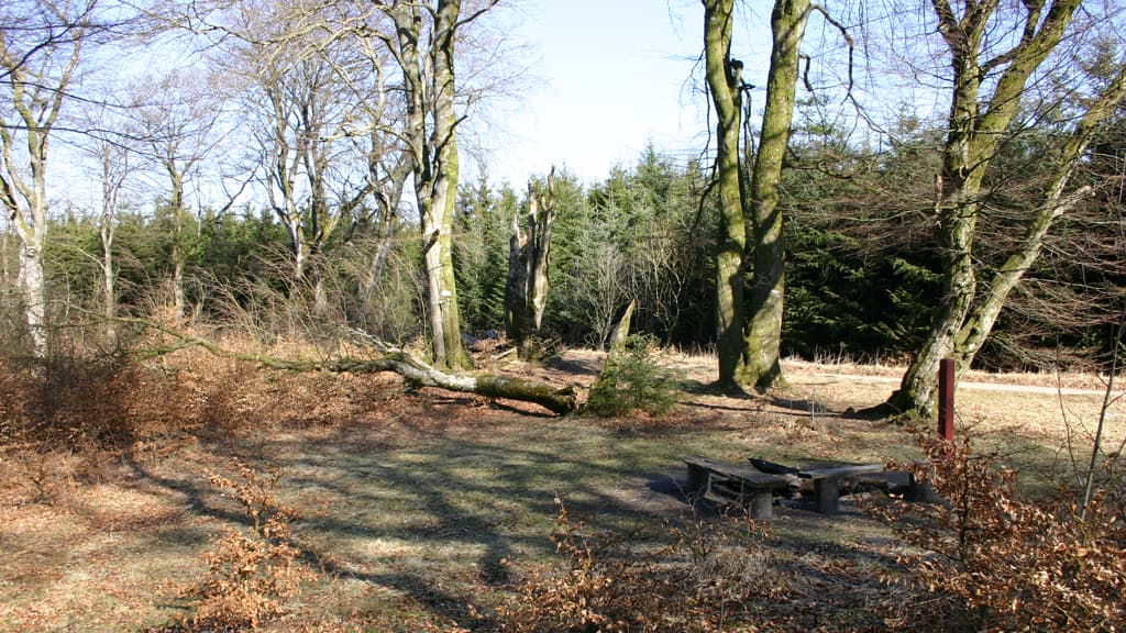 Urskoven campsite