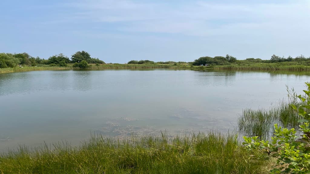 Lerbæk Fiskepark