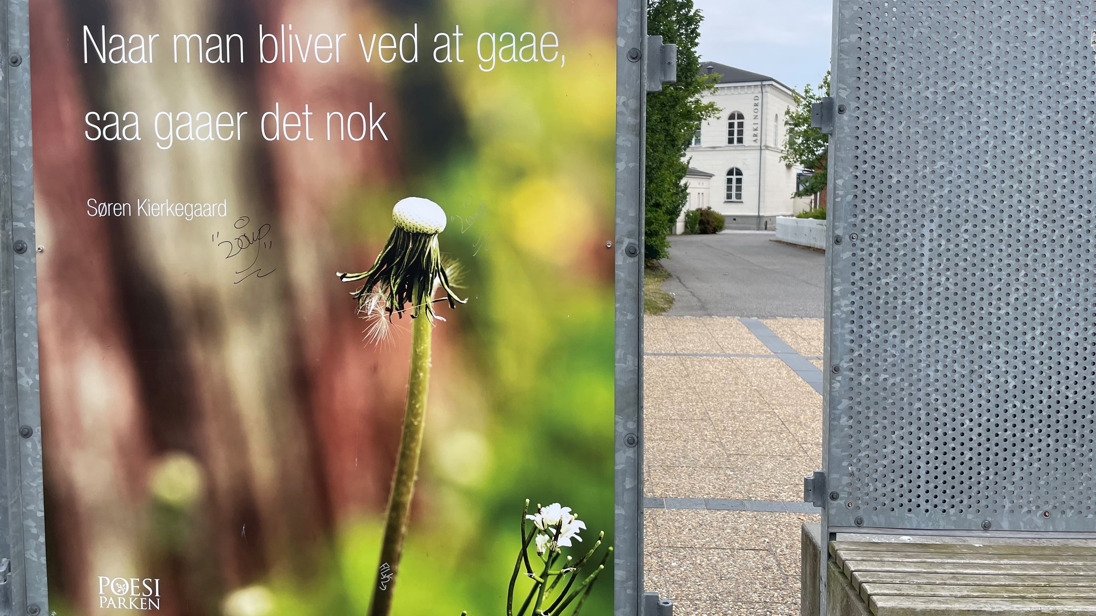 Mælkebøtten - Frederikshavn