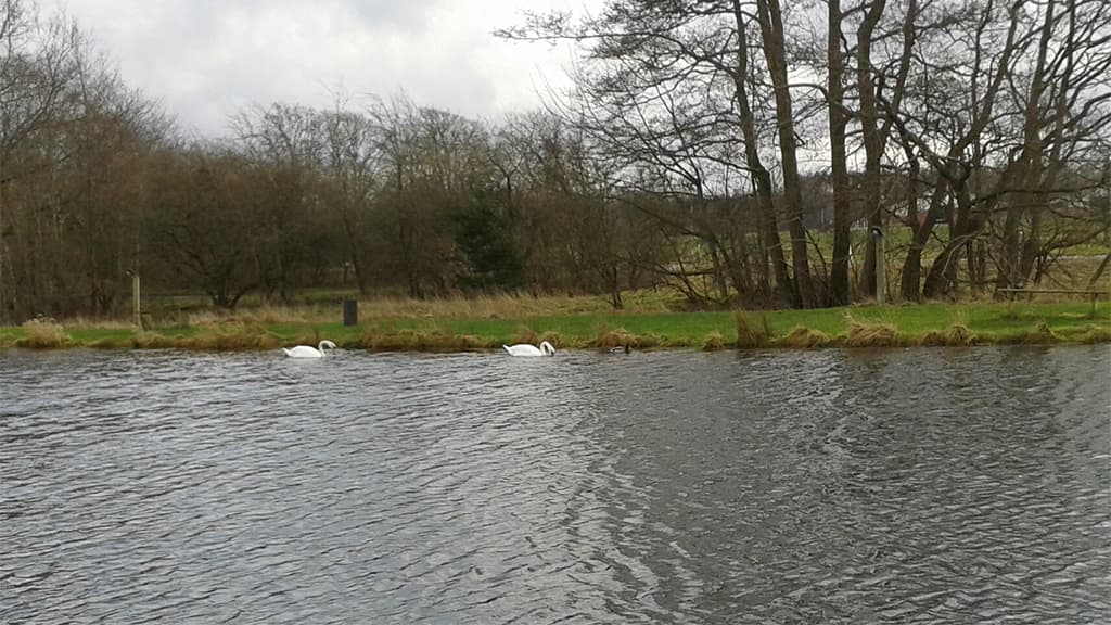 Foldingbro Angel See