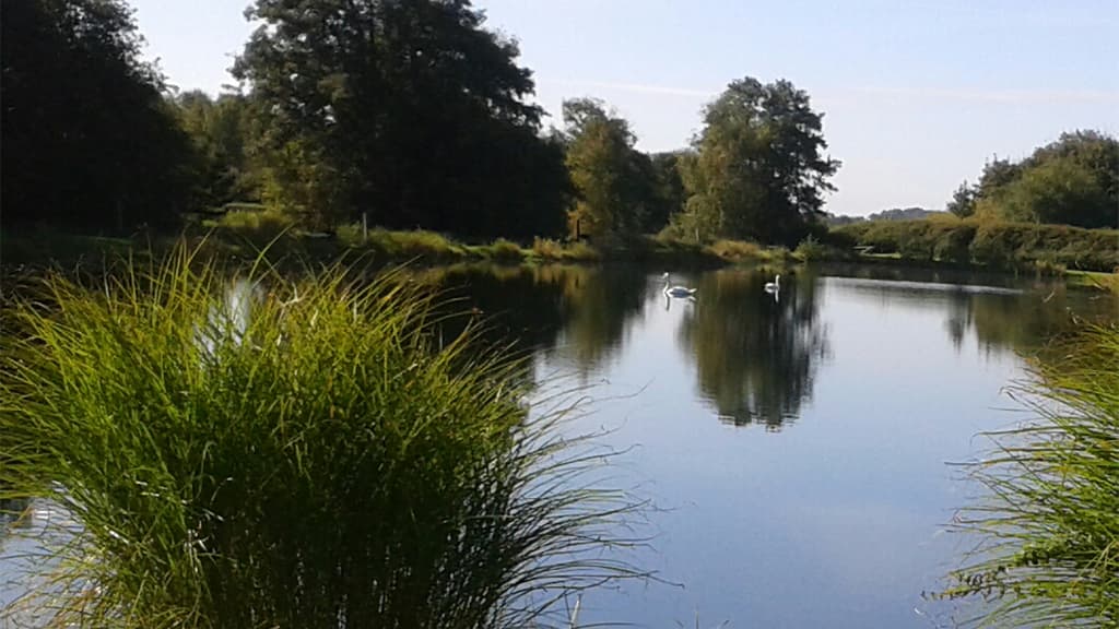 Foldingbro Angel See