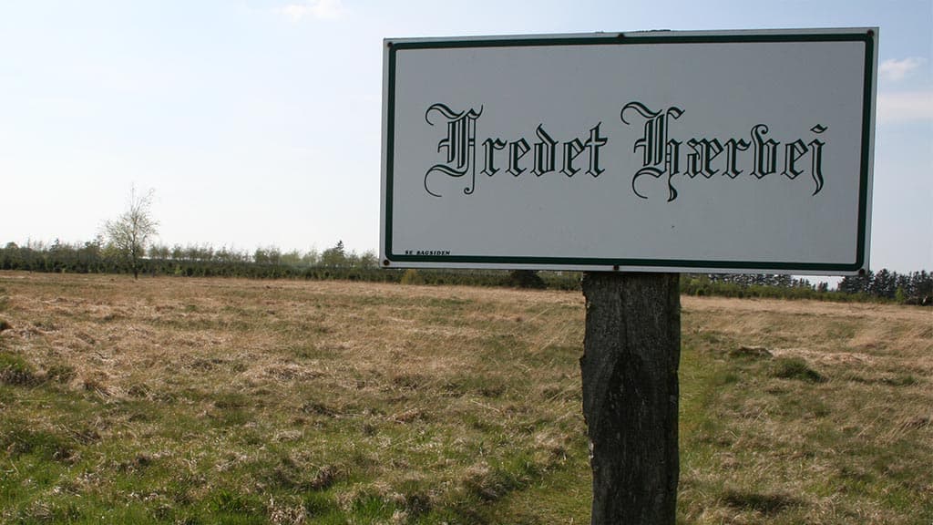 A preserved section of the Ancient Road, Bække