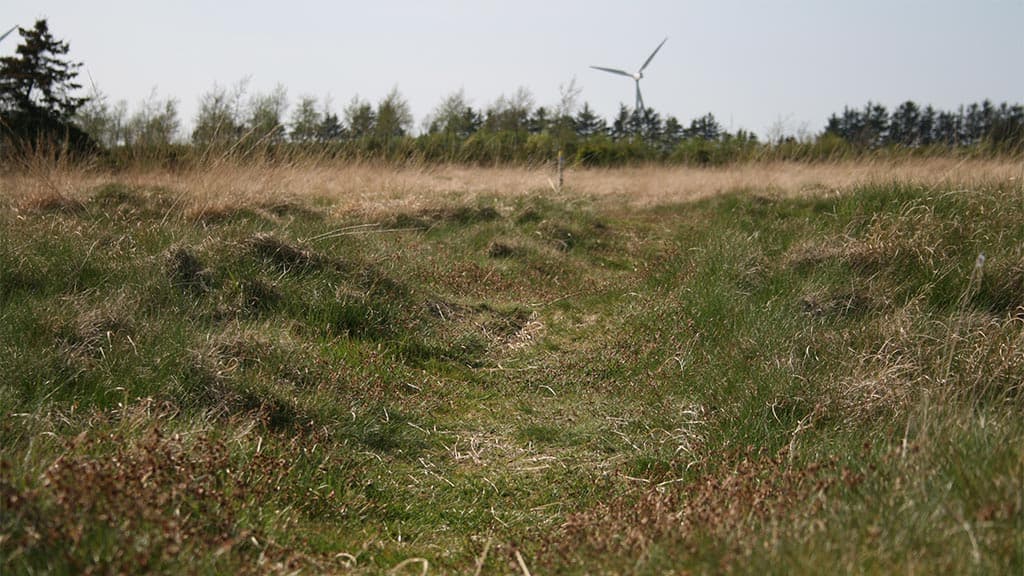 A preserved section of the Ancient Road, Bække
