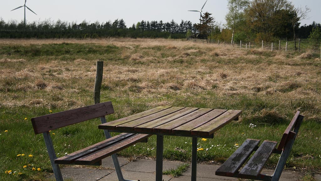 A preserved section of the Ancient Road, Bække