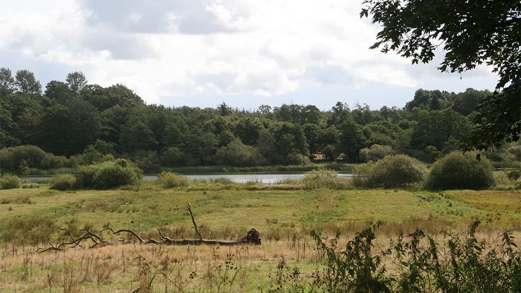 Jels Lake