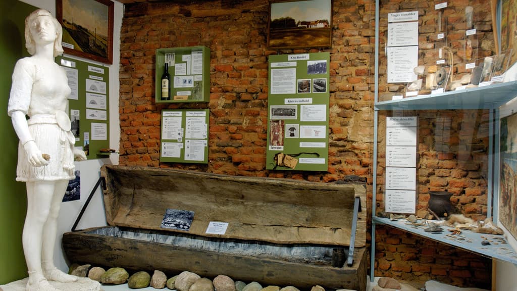 Egtved Museum