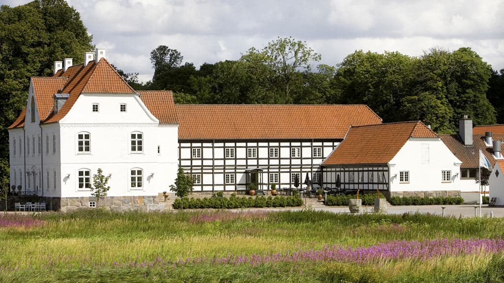 Haraldskær Manor with a beautiful grassy field with purple flowers in it.
