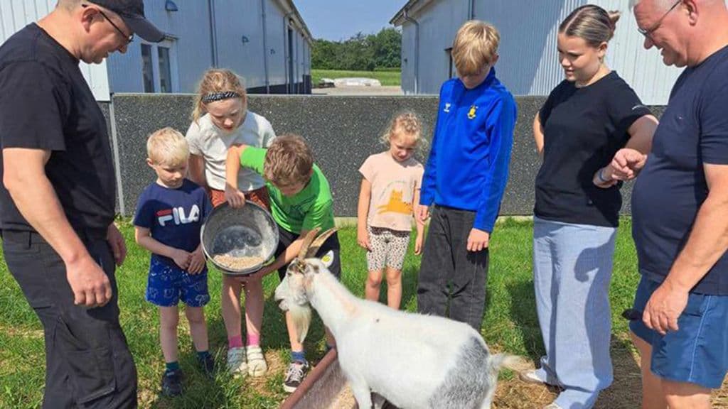 Animal feeding at Tinnetgaard every weekend