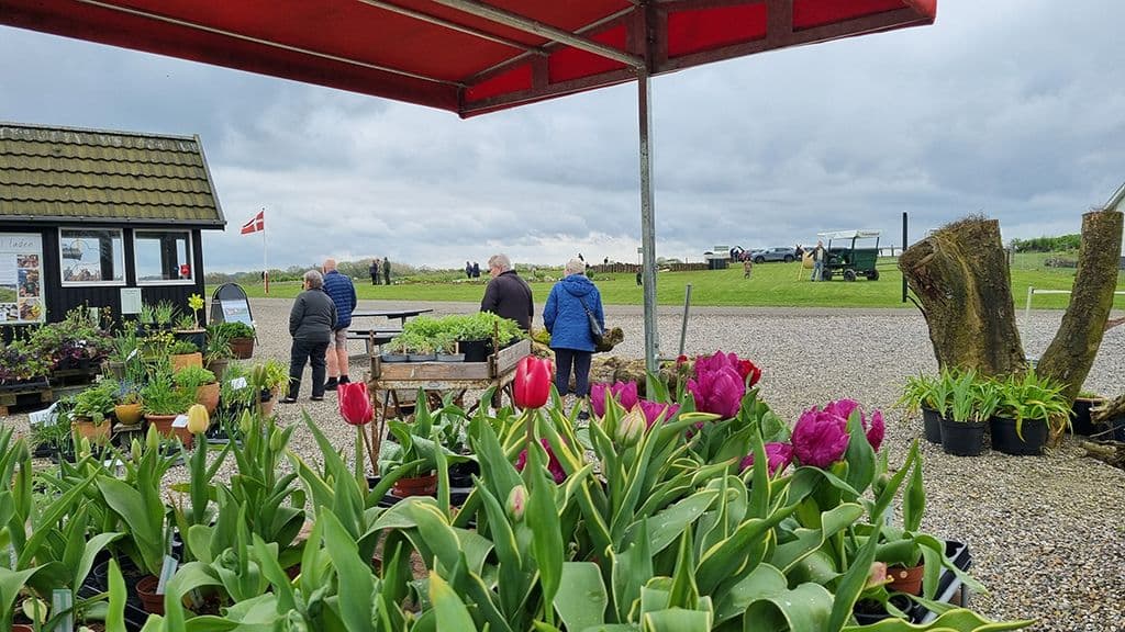 Cozy spring market at Tinnetgaard
