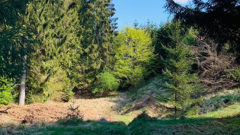 Hestegraven sinkhole 