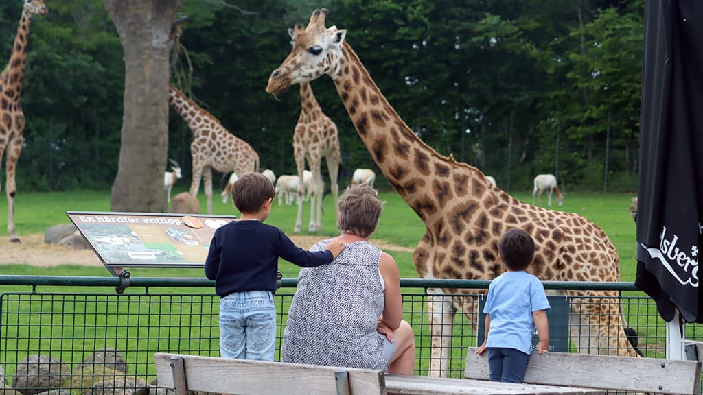 Aalborg Zoo