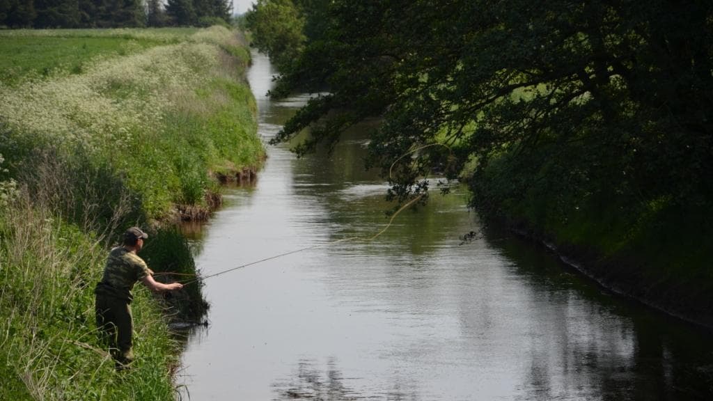 Fischerei in Ry- und Nørre å