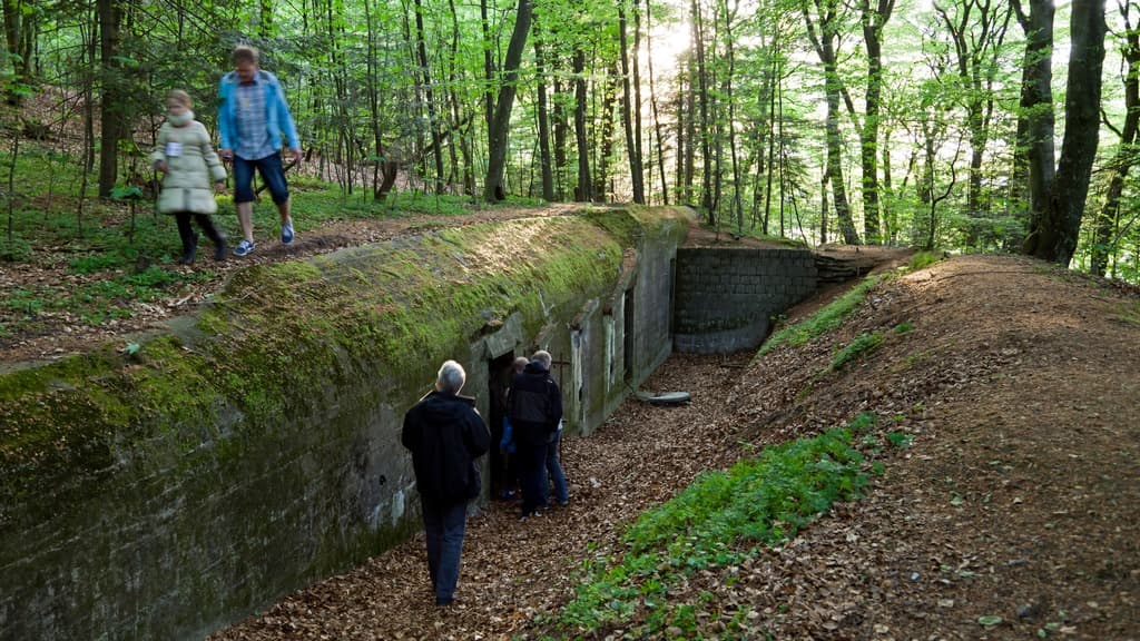 Silkeborg Bunkermuseum