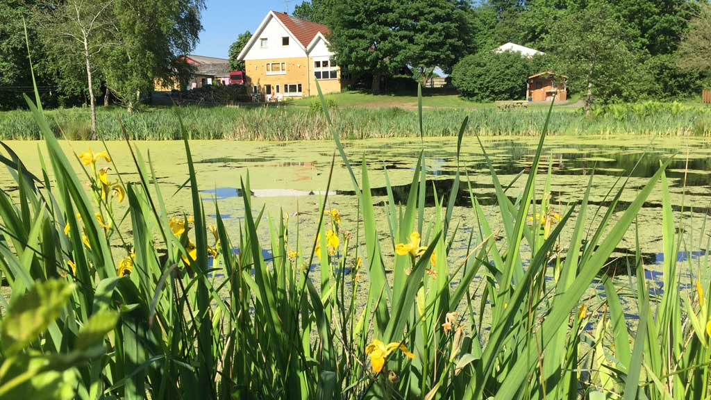 Gyvelborg Visitor Farm and Camping - Farm holiday