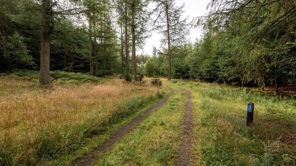 Hærvejen (Army trail)