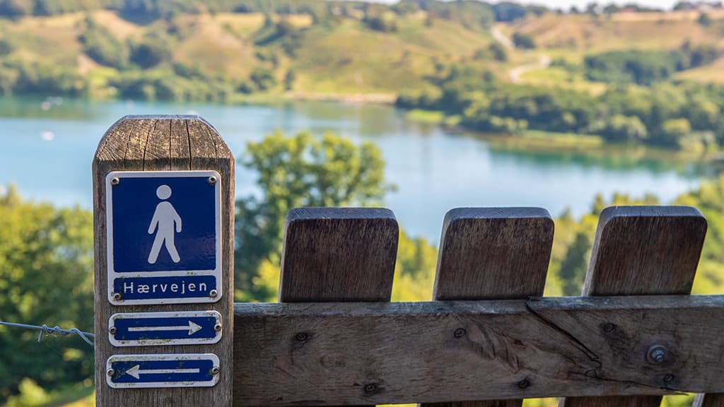 The Ancient Road by Viborg