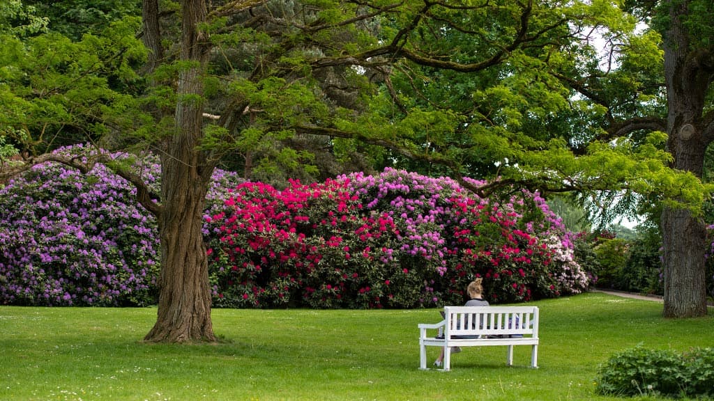 Borgvold Park