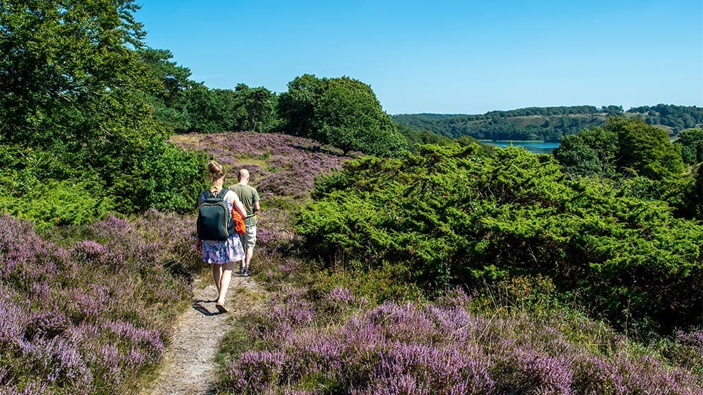 The Ancient Road Hærvejen